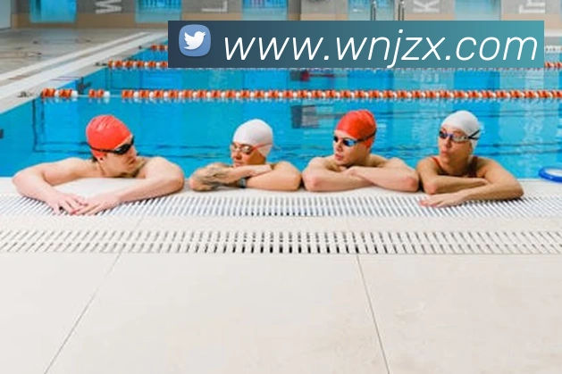 App Interface Preview